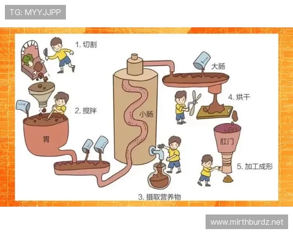 致命游戏困境中的营养替代选择与健康生活探索