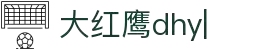 大红鹰dhy游戏【企业认证】官方网站-GREEN APPSTORE